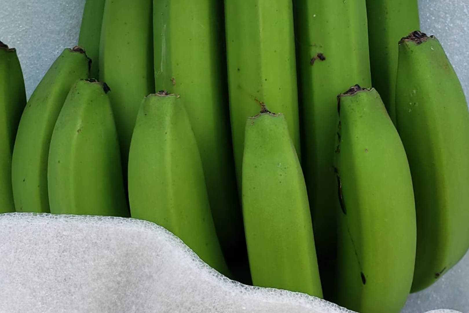 Salvita Alimentos • Los hermanos que invirtieron US$6 millones para competir con las bananas del exterior